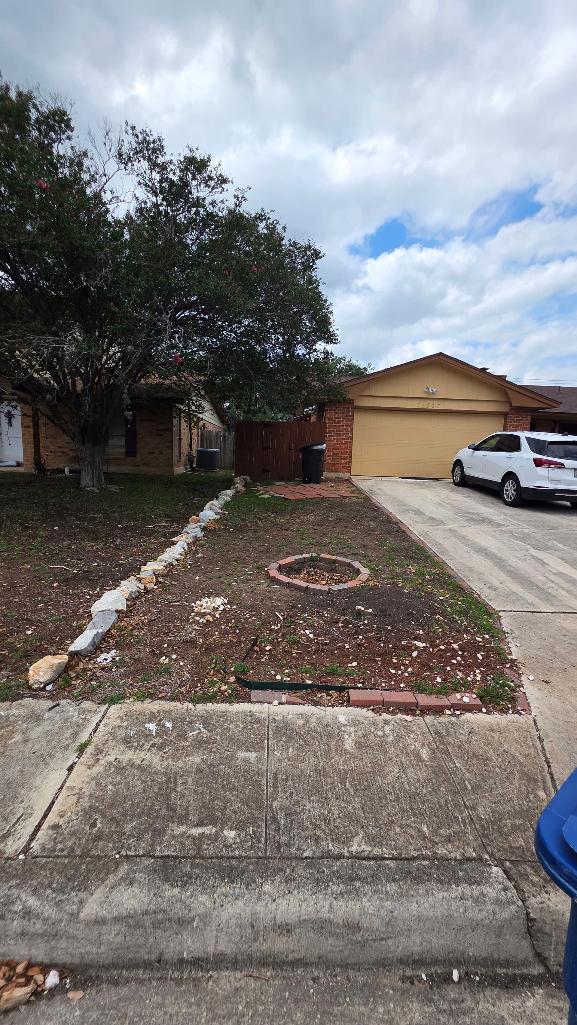 Front Yard Curb Appeal Upgrade With Sod, Mulch, and Clean Edging image