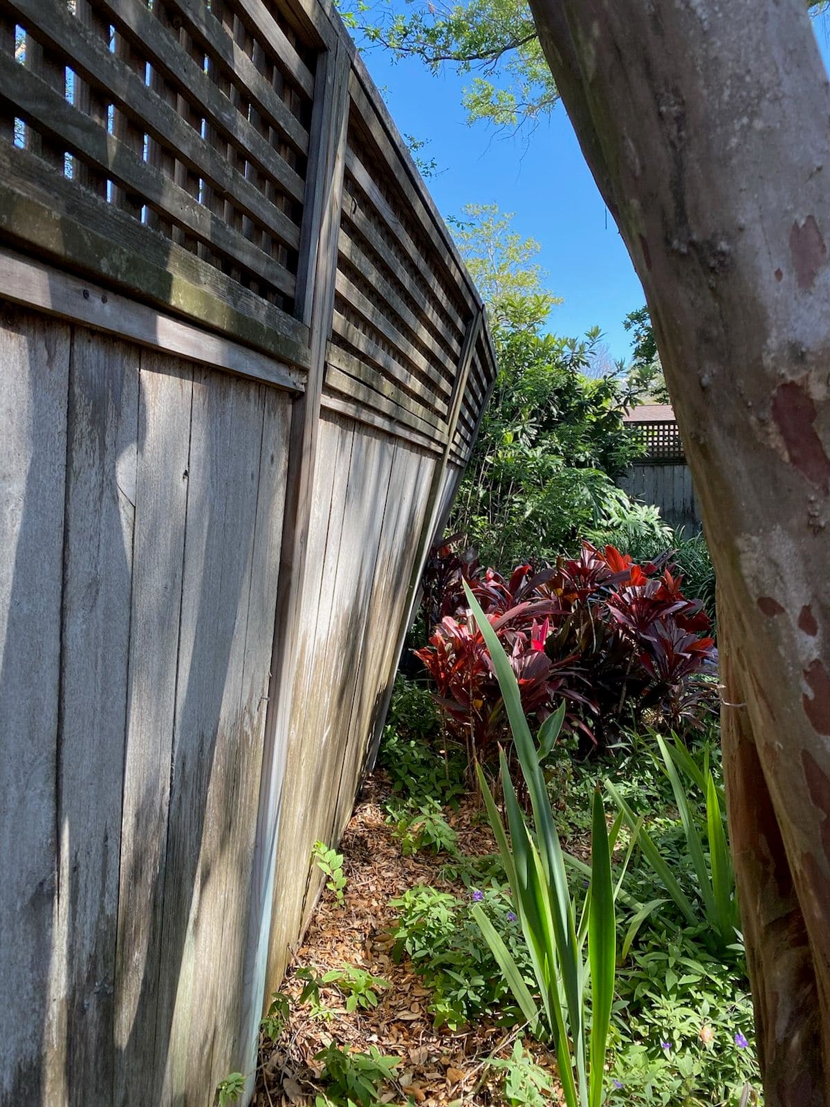 Project Garden Fence Revamp with Stiefvater Construction image
